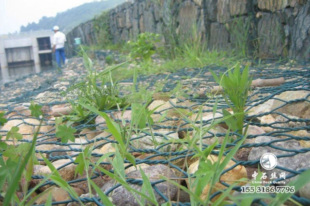 包塑鉛絲石籠 包塑鉛絲石籠