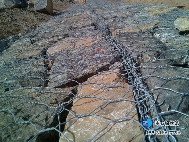 雙隔板雷諾護墊