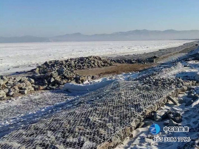 雷諾護(hù)墊 雷諾護(hù)墊